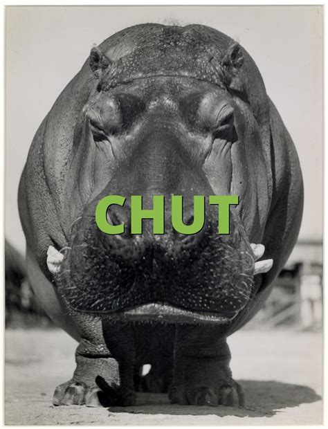 chut hi chut|Chut Definition & Meaning .